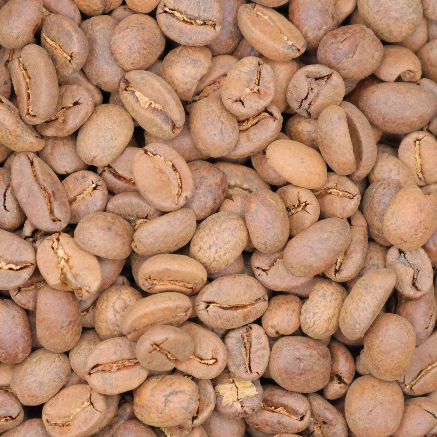 Pedro Turcios, Co-Ferment Typica