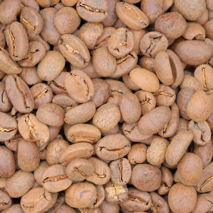 Pedro Turcios, Co-Ferment Typica