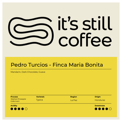 Pedro Turcios, Co-Ferment Typica