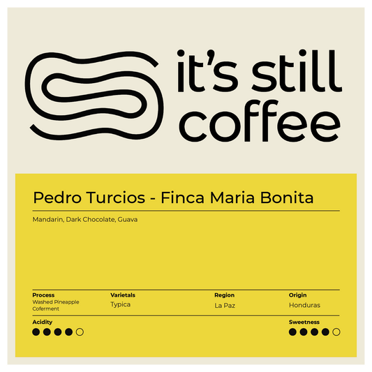 Pedro Turcios, Co-Ferment Typica