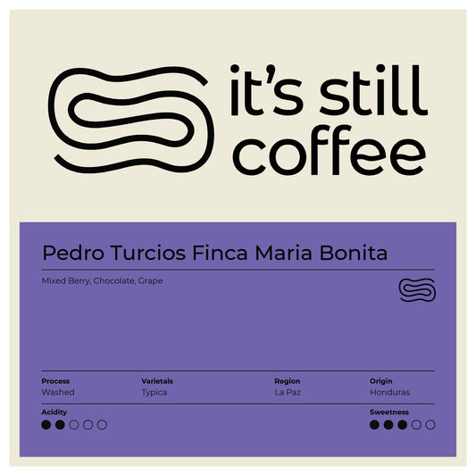 Pedro Turcios, Washed Typica